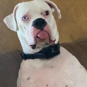 Meet your Posher, Gregory